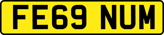 FE69NUM