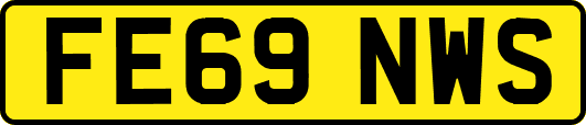 FE69NWS