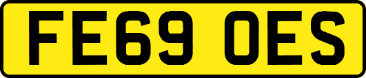 FE69OES