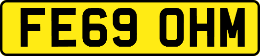 FE69OHM