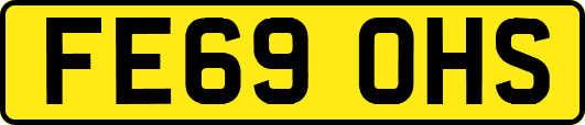 FE69OHS