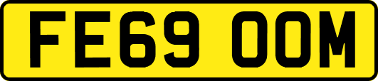 FE69OOM