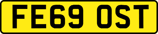 FE69OST