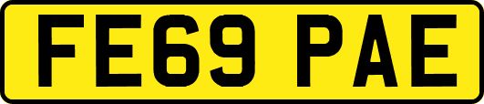 FE69PAE