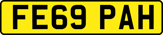 FE69PAH