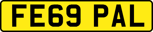 FE69PAL