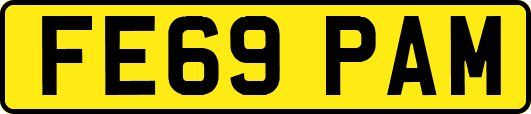 FE69PAM
