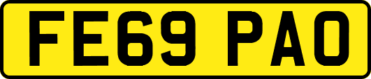 FE69PAO