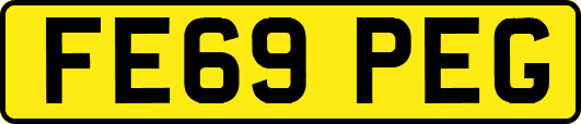FE69PEG