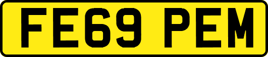 FE69PEM
