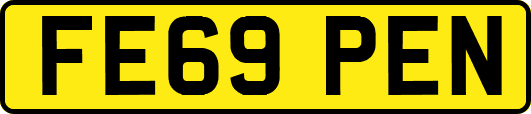 FE69PEN