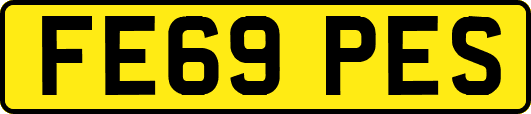 FE69PES