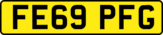 FE69PFG