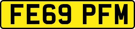 FE69PFM