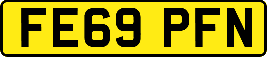 FE69PFN