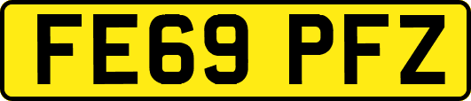 FE69PFZ