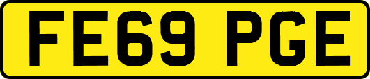 FE69PGE