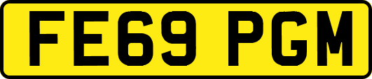 FE69PGM