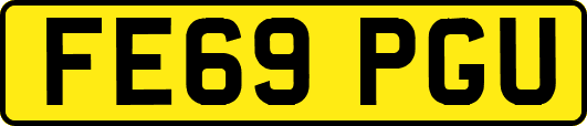 FE69PGU