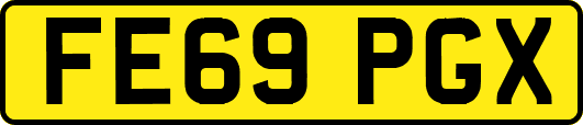 FE69PGX