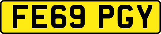 FE69PGY