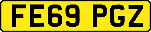 FE69PGZ