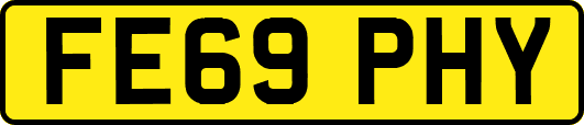 FE69PHY