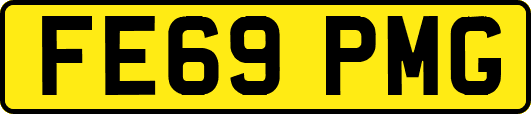 FE69PMG