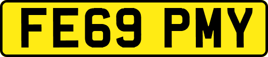 FE69PMY