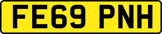 FE69PNH