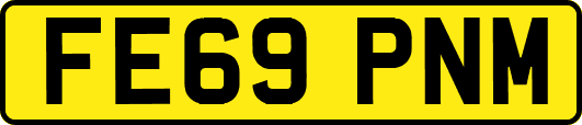 FE69PNM