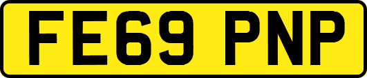 FE69PNP