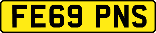 FE69PNS