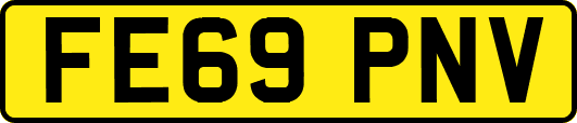 FE69PNV