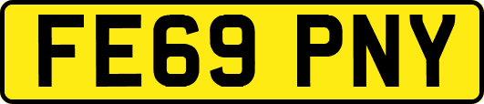 FE69PNY
