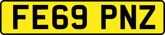 FE69PNZ
