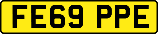 FE69PPE