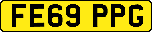 FE69PPG