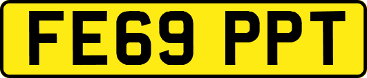 FE69PPT