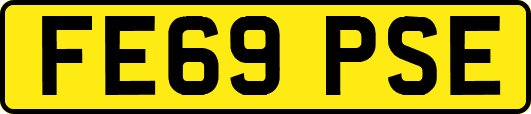 FE69PSE