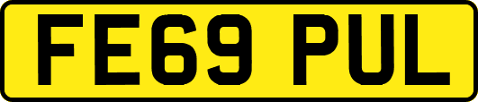 FE69PUL