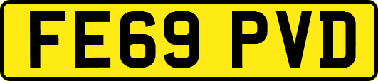 FE69PVD