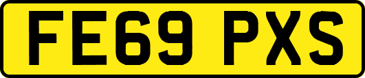 FE69PXS