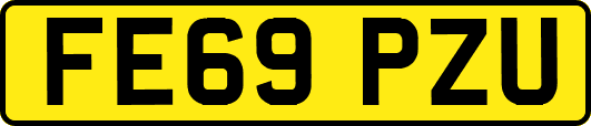 FE69PZU