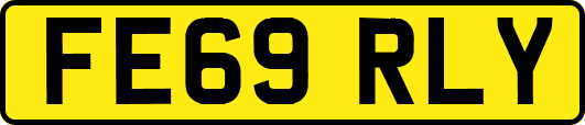 FE69RLY