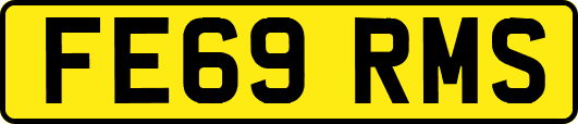 FE69RMS