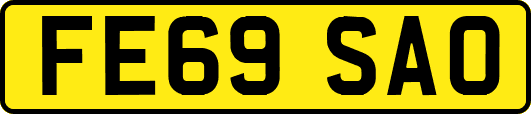 FE69SAO