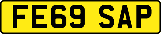 FE69SAP