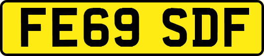 FE69SDF