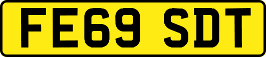 FE69SDT